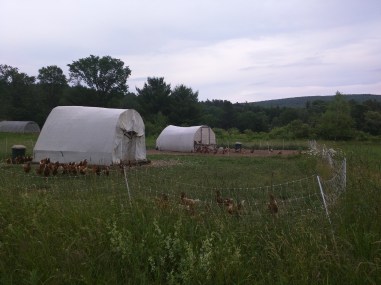 IMG_20160627_185040 (1)